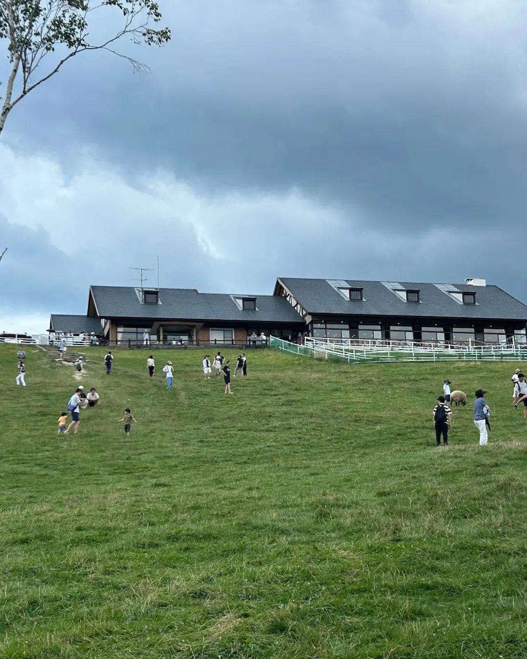 🏞️ 야마나시 현립 마키바 공원(山梨県立 まきば公園) 이미지 7
